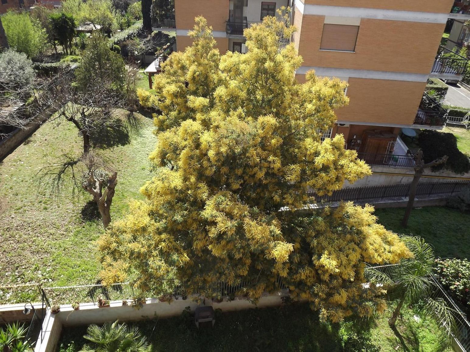 Gilda Vacanze Metro Battistini Appartement